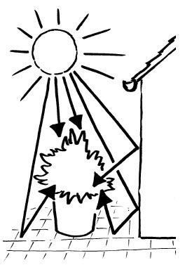 Zeichnung Sonnenstrahlen auf Kübelpflanze
